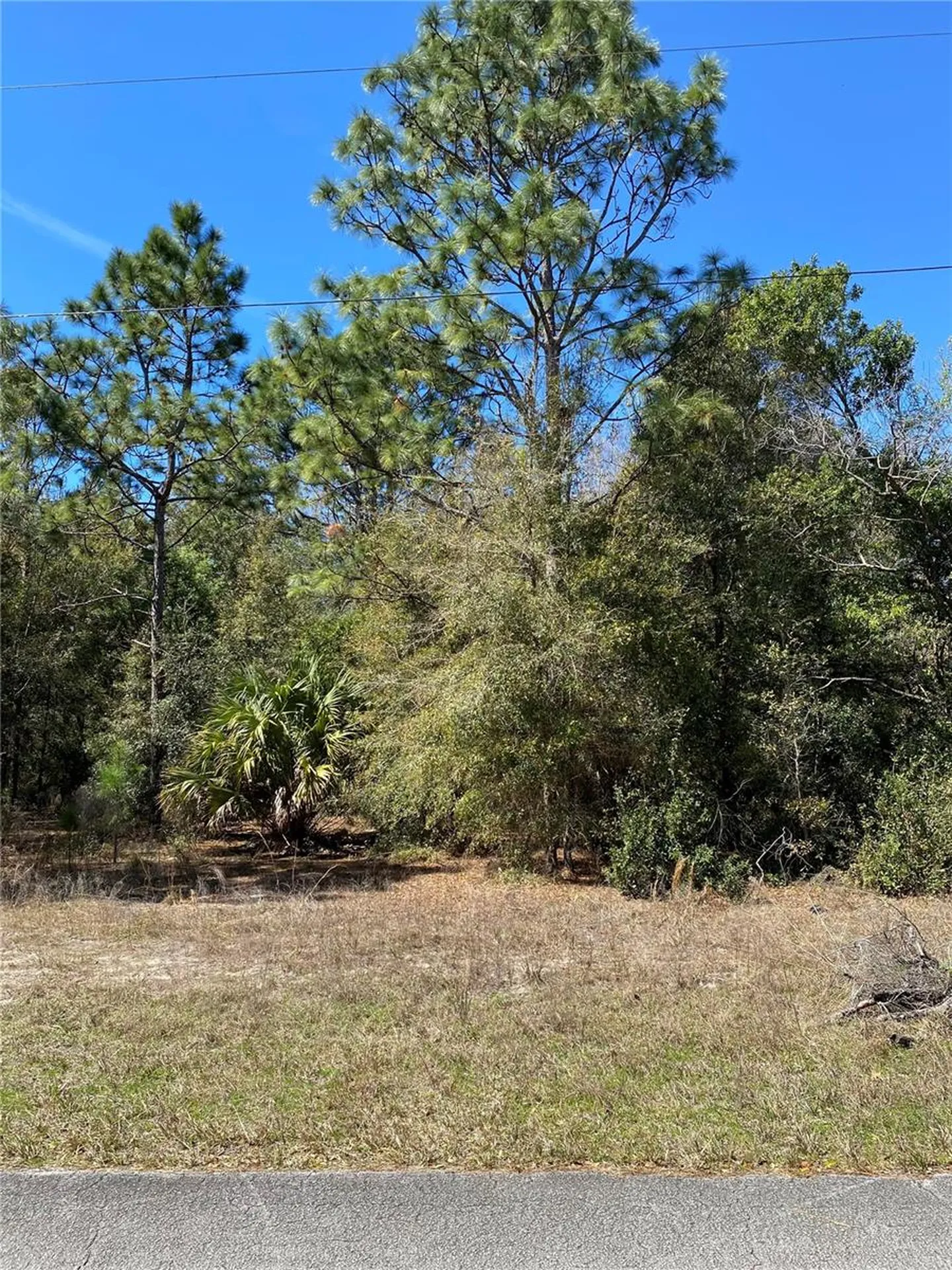 8630 N Catapane Loop Crystal River FL 34428