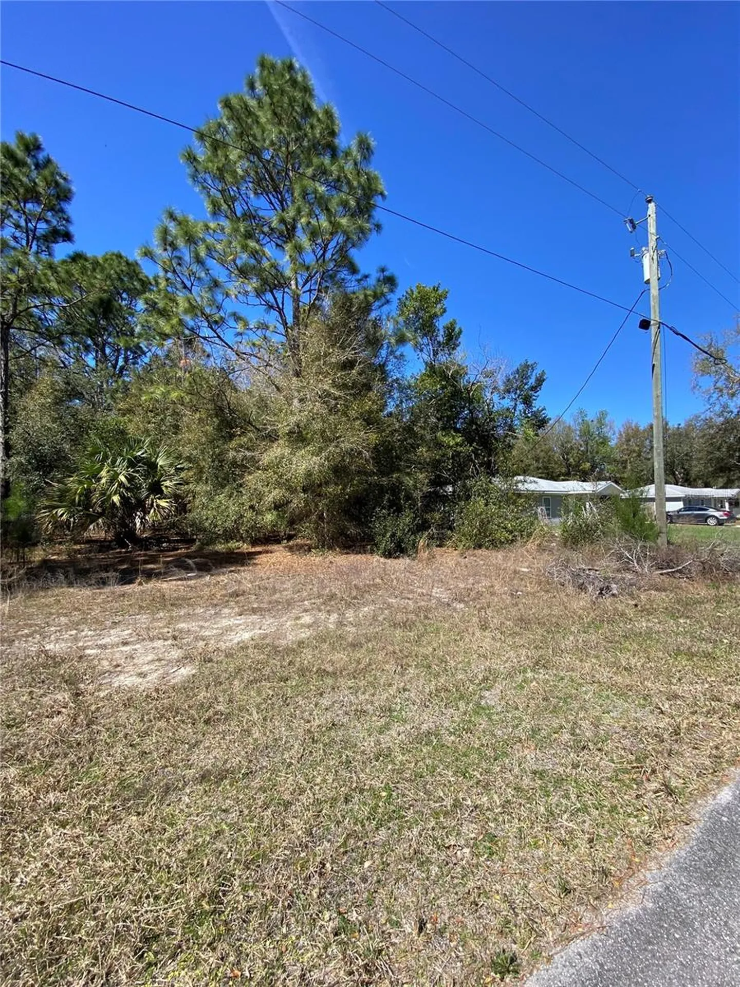 8630 N Catapane Loop Crystal River FL 34428