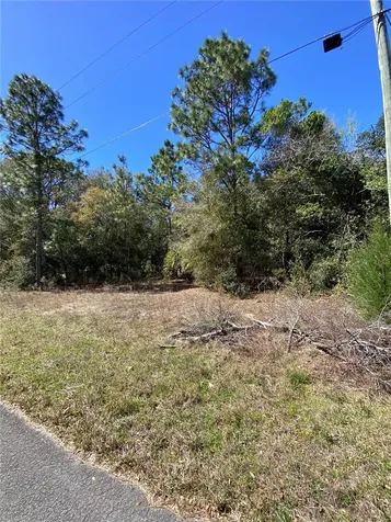 8630 N Catapane Loop Crystal River FL 34428
