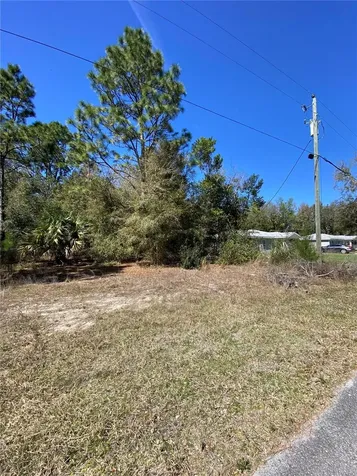8630 N Catapane Loop Crystal River FL 34428