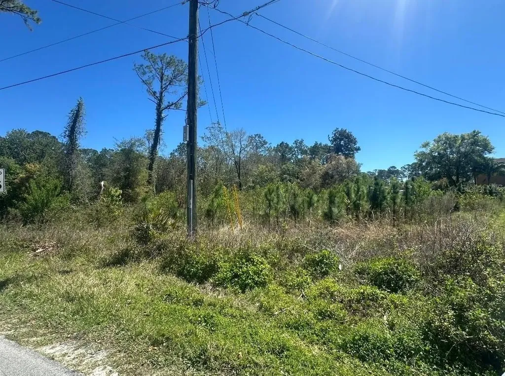 2548 E Lake Drive Deland FL 32724