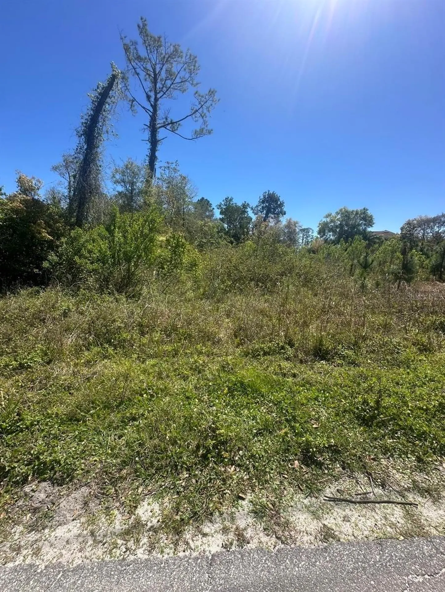 2548 E Lake Drive Deland FL 32724