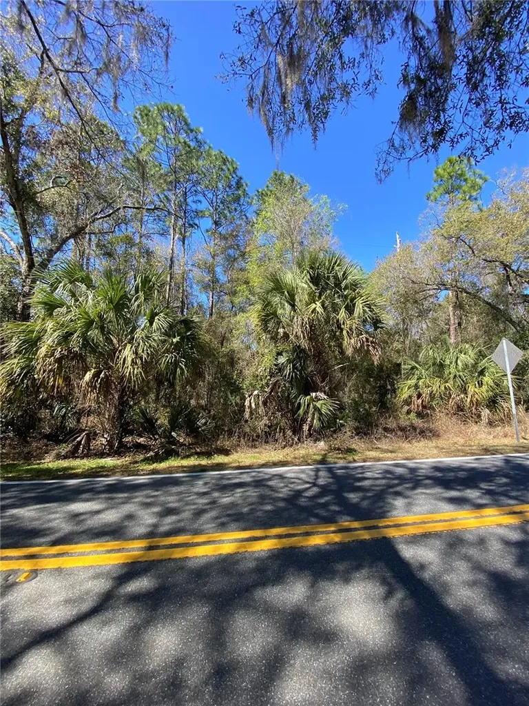 2519 W Plumtree Lane Dunnellon FL 34433