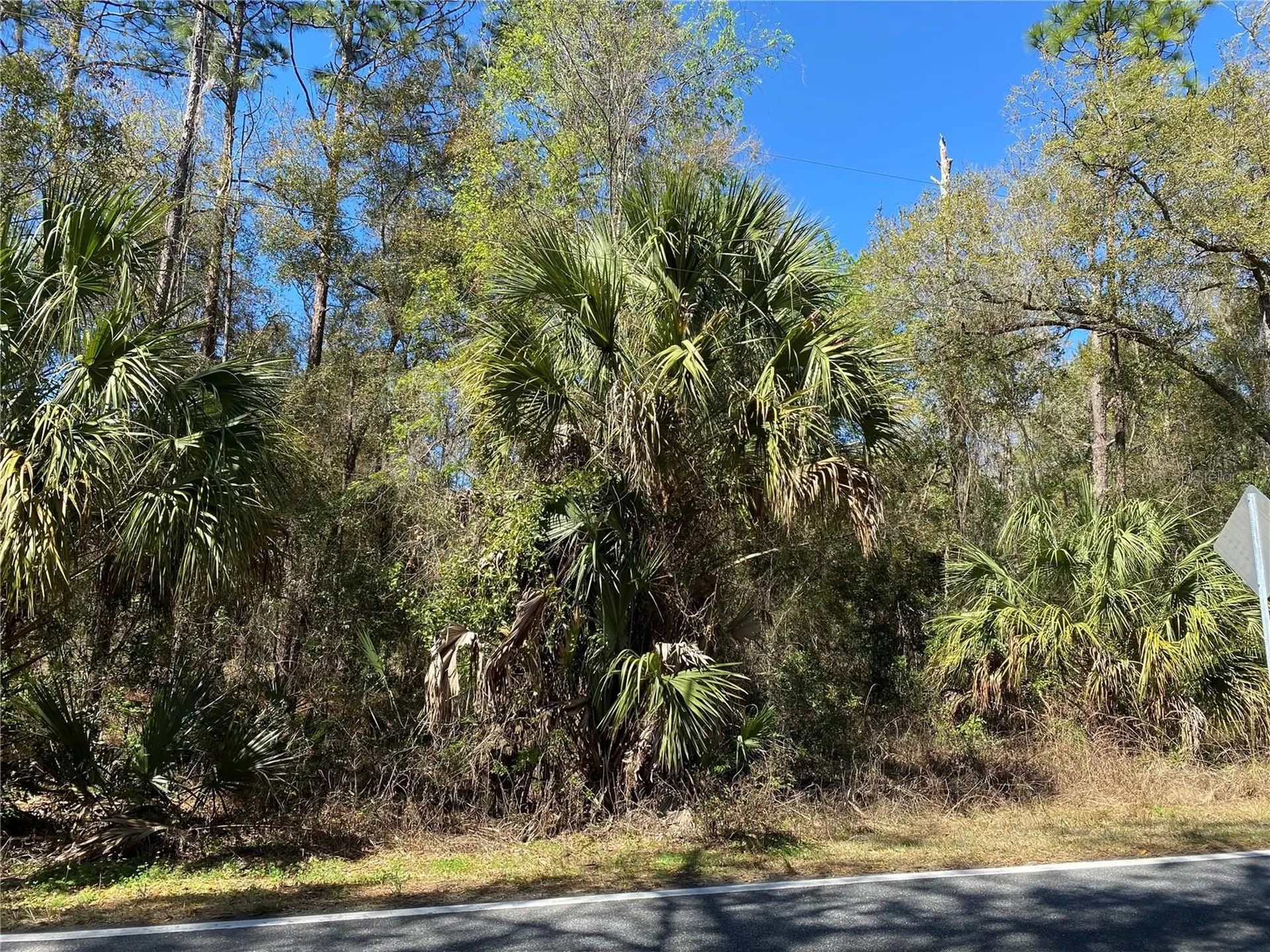 2519 W Plumtree Lane Dunnellon FL 34433