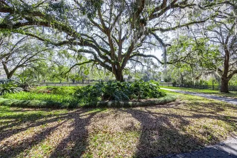 13414 NW 19th Place Gainesville FL 32606