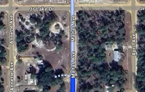 00 Maltas Avenue Interlachen FL 32148