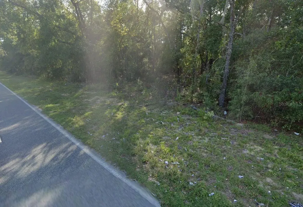 465 Baden Powell Road Hawthorne FL 32640