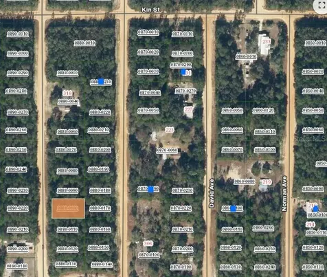 Lot 10 Del Monaco Avenue Interlachen FL 32148