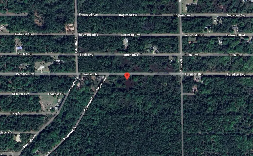 817 Paradise Boulevard Georgetown FL 32139