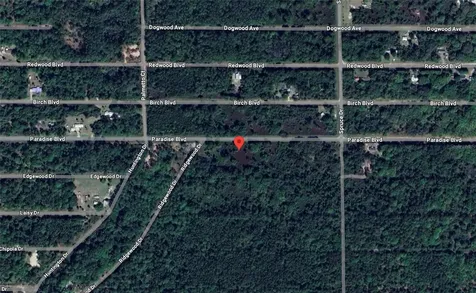 817 Paradise Boulevard Georgetown FL 32139