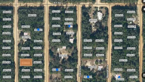 Lot 8 Del Monaco Avenue Interlachen FL 32148