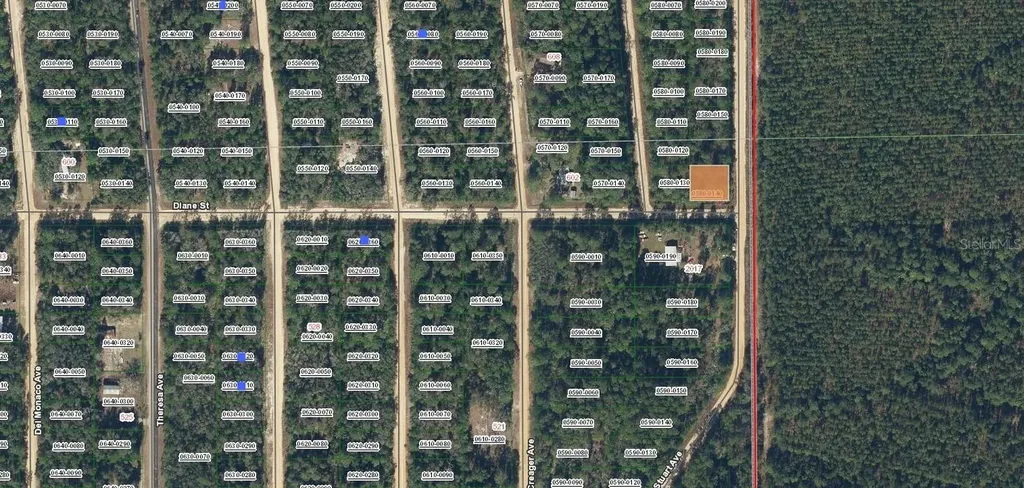 Diane Street Interlachen FL 32148