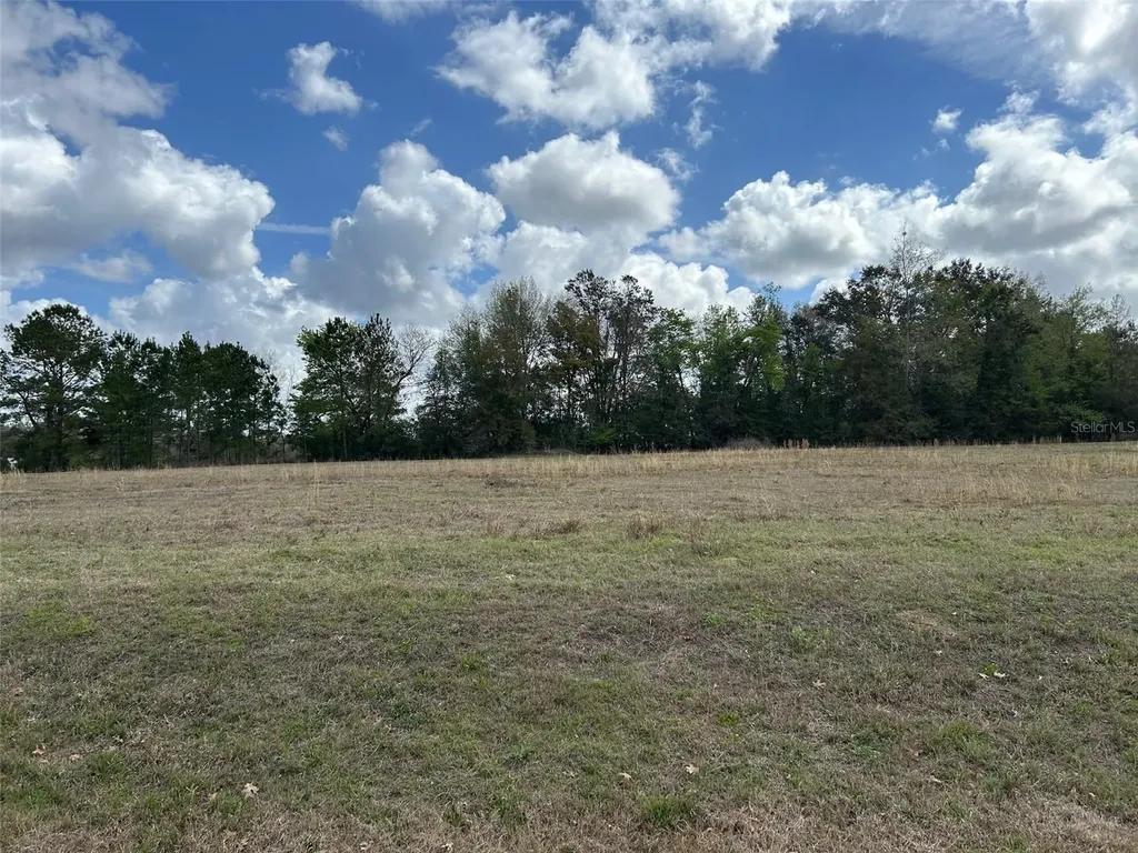 NW 104th Terrace Alachua FL 32615