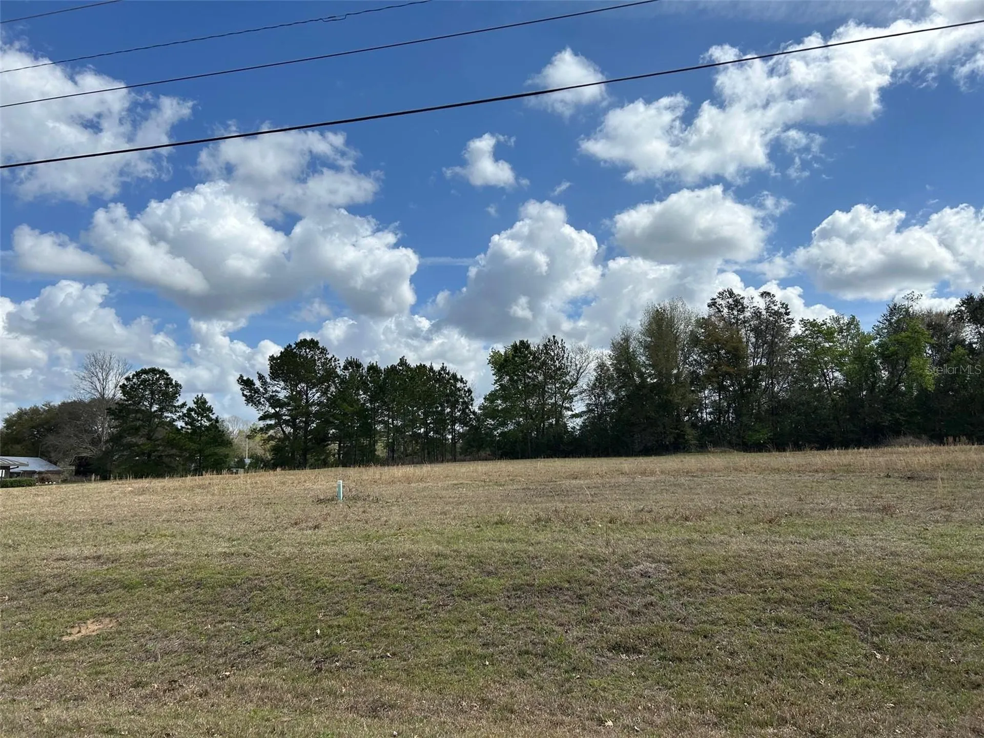 NW 104th Terrace Alachua FL 32615