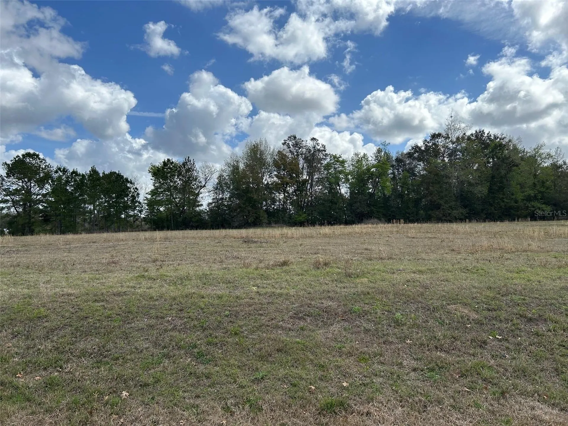 NW 104th Terrace Alachua FL 32615