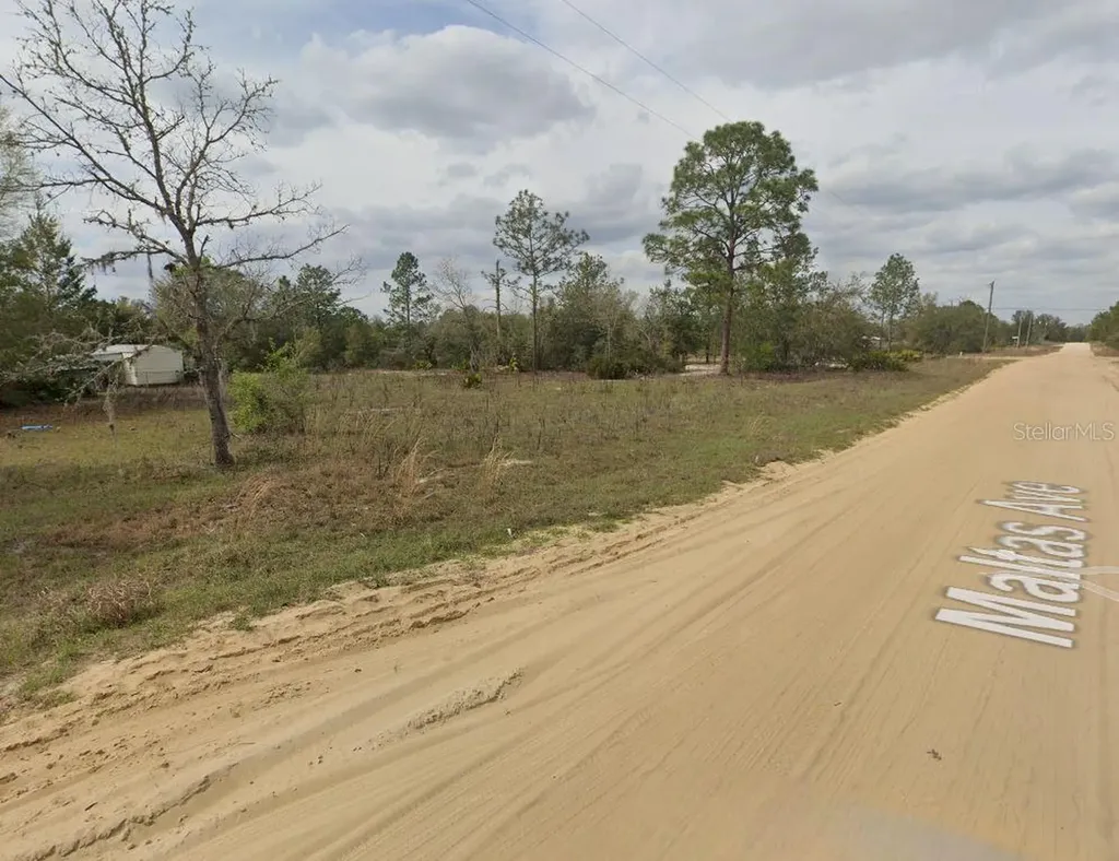 00 Maltas Avenue Interlachen FL 32148