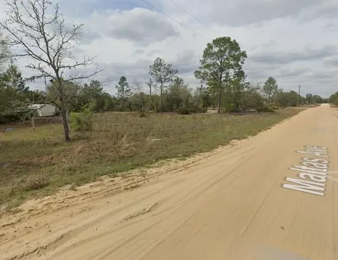 00 Maltas Avenue Interlachen FL 32148