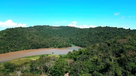 175 Bo San Antonio Caguas PR 00725