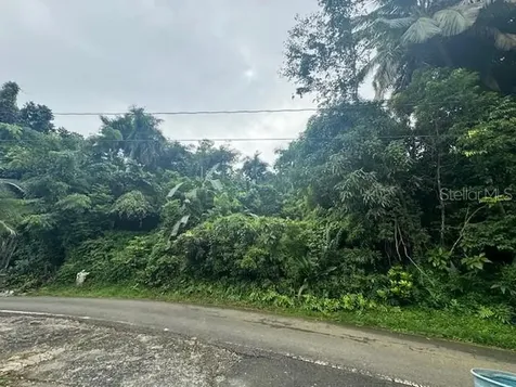 175 Bo San Antonio Caguas PR 00725