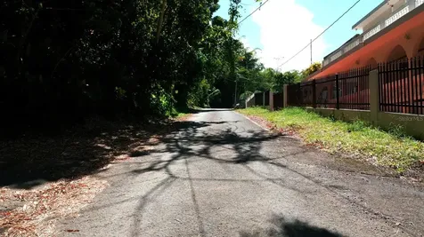 175 Bo San Antonio Caguas PR 00725