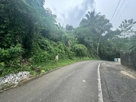 175 Bo San Antonio Caguas PR 00725