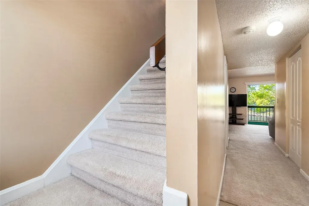 6311 Newtown Circle Tampa FL 33615