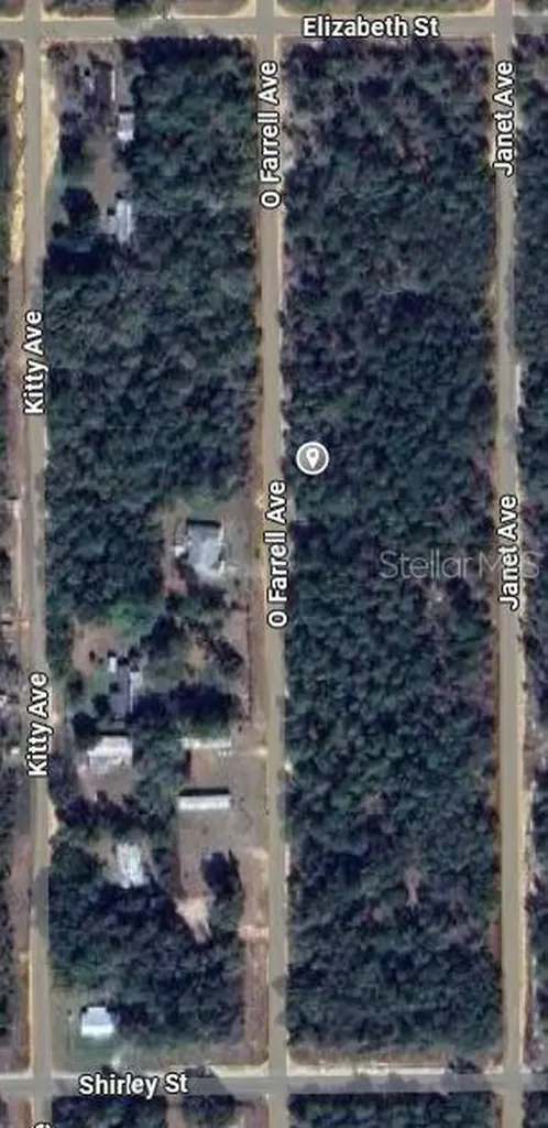 O Farrel Avenue Interlachen FL 32148
