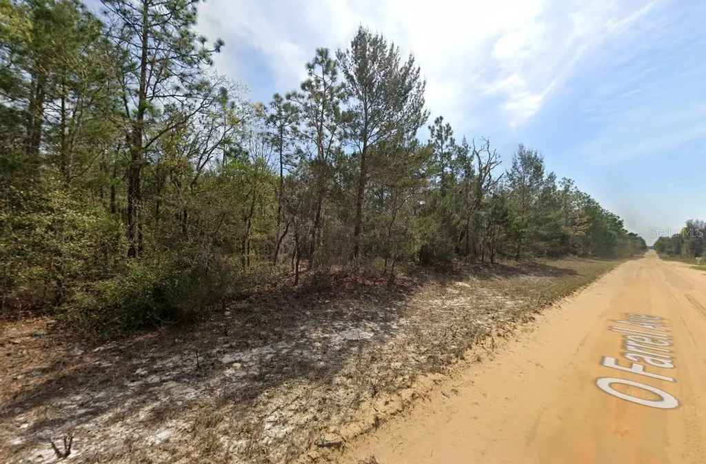 O Farrel Avenue Interlachen FL 32148
