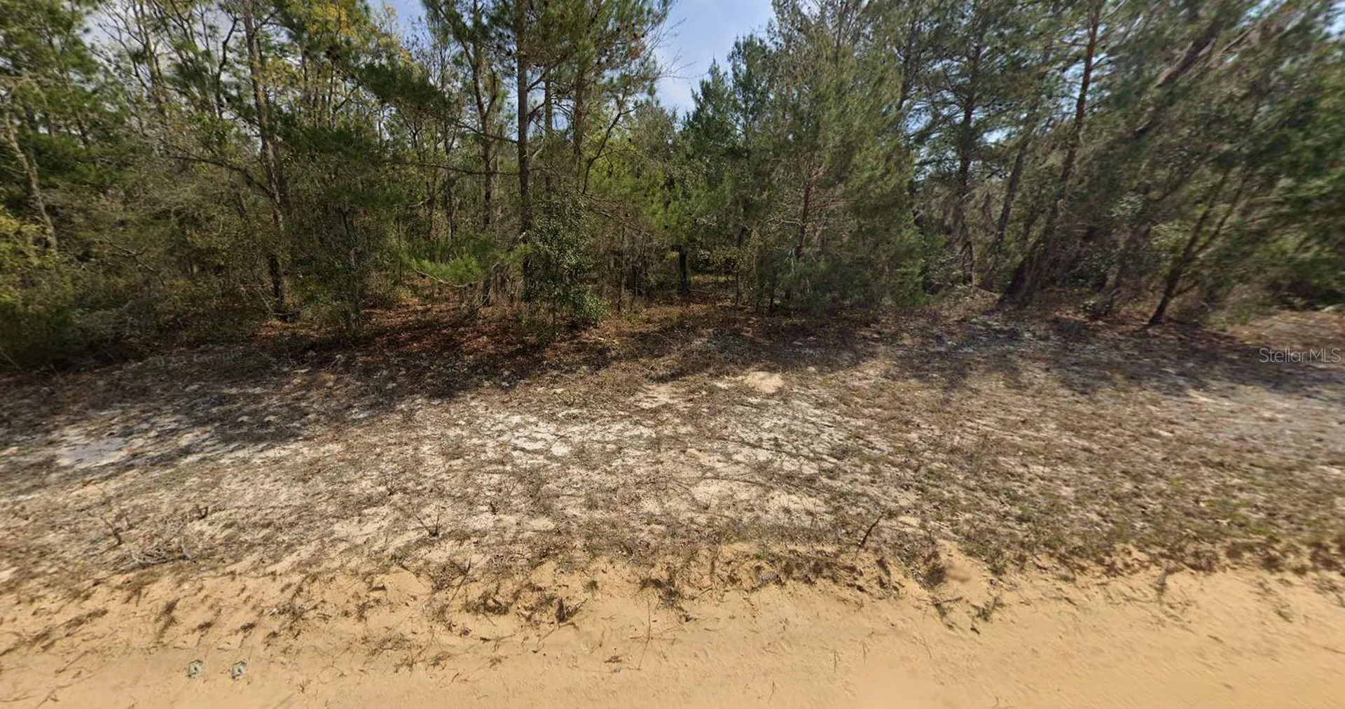 O Farrel Avenue Interlachen FL 32148
