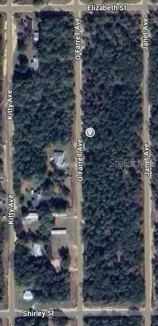 O Farrel Avenue Interlachen FL 32148