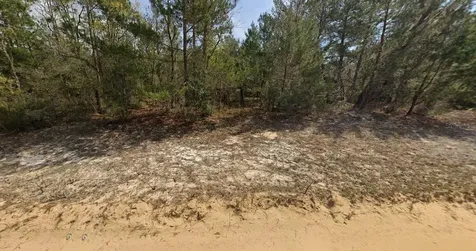 O Farrel Avenue Interlachen FL 32148