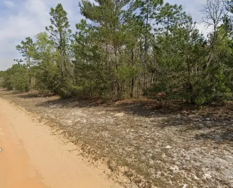 O Farrel Avenue Interlachen FL 32148