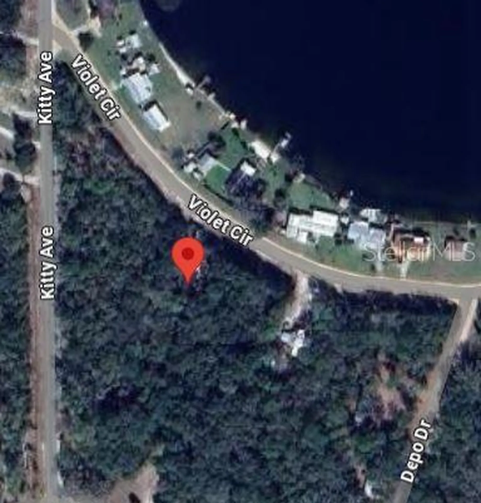 Violet Circle Interlachen FL 32148