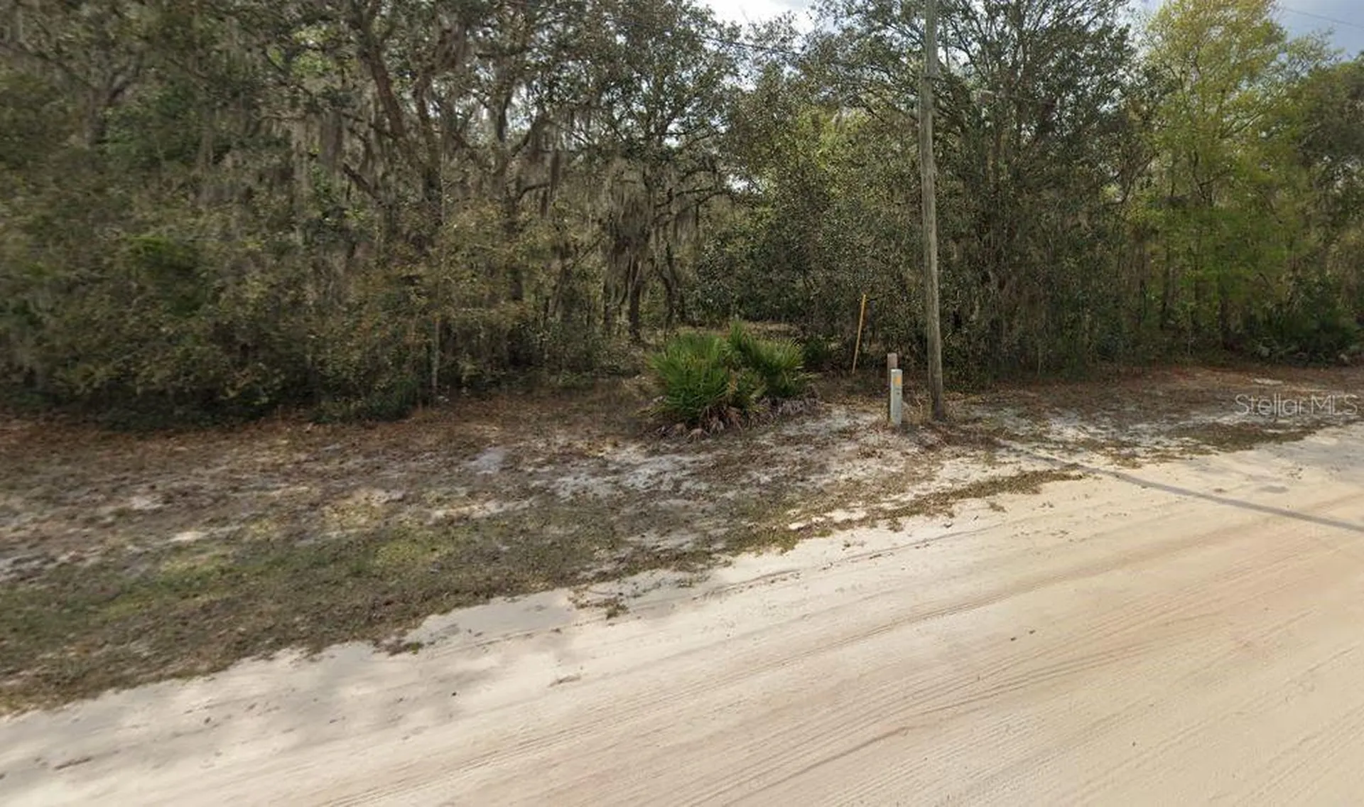 Violet Circle Interlachen FL 32148