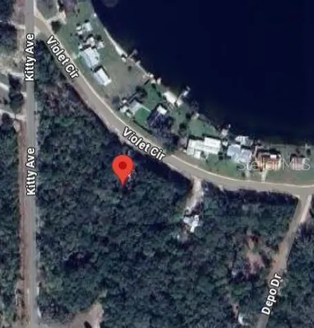 Violet Circle Interlachen FL 32148