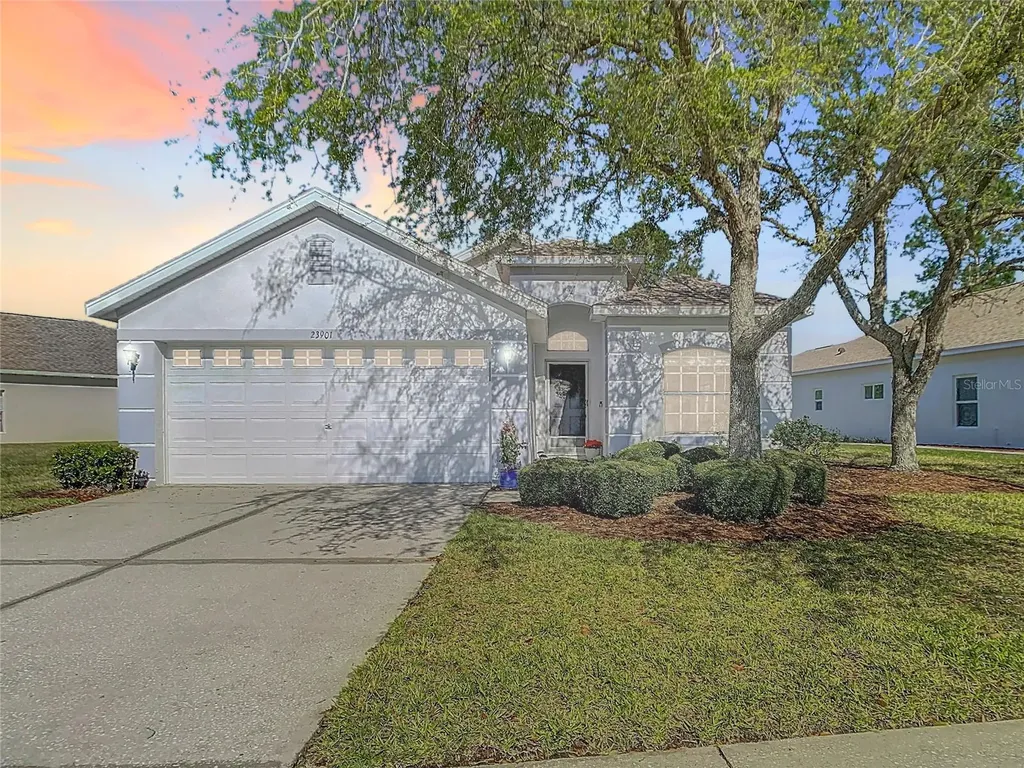 23901 Coral Ridge Lane Land O Lakes FL 34639
