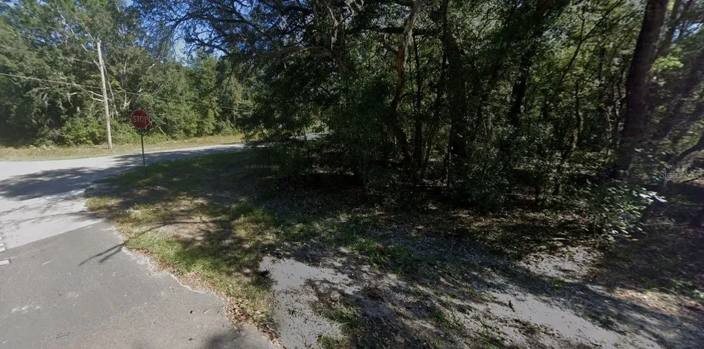 00 Annette Avenue Interlachen FL 32148