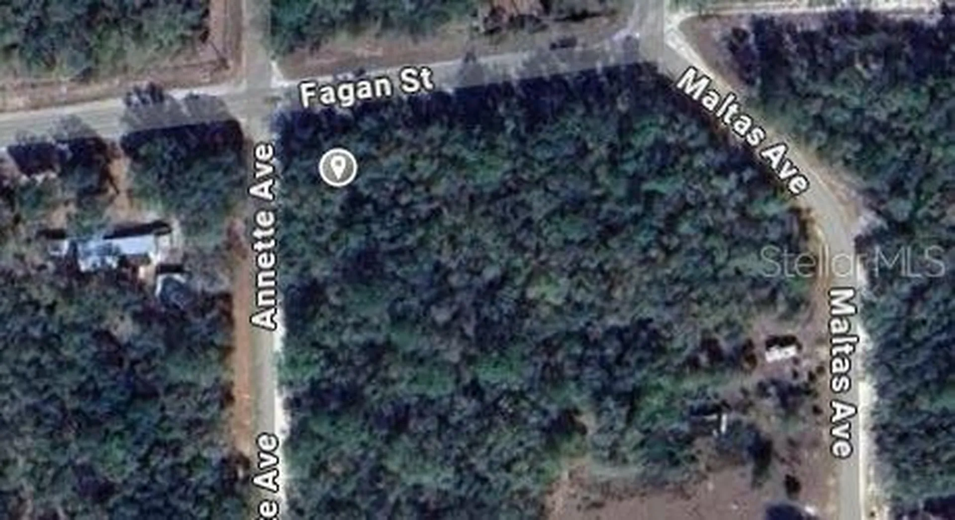 00 Annette Avenue Interlachen FL 32148