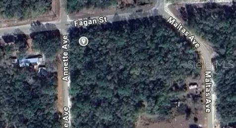 00 Annette Avenue Interlachen FL 32148