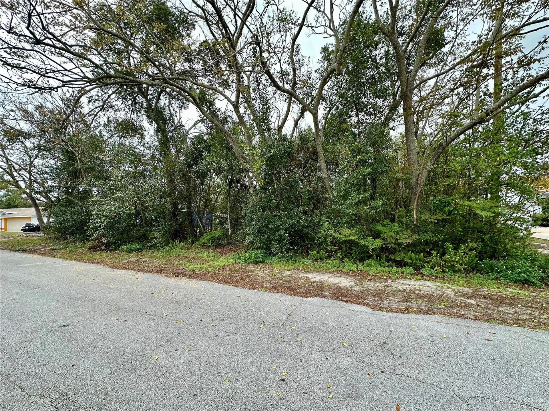 761 Arlene Drive Deltona FL 32725