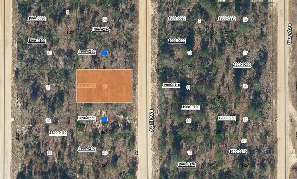 00 April Avenue Interlachen FL 32148