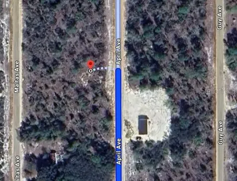 00 April Avenue Interlachen FL 32148