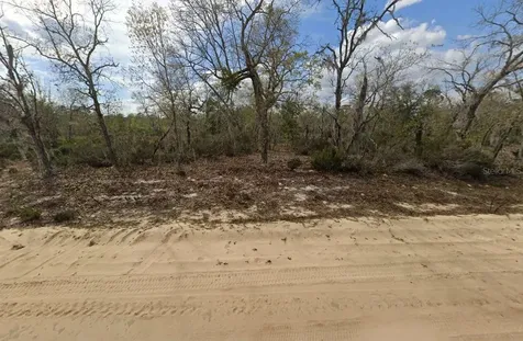 00 April Avenue Interlachen FL 32148