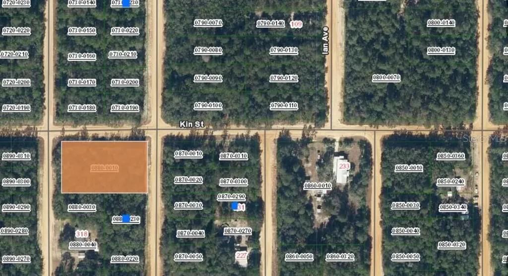 Tbd Theresa Avenue Interlachen FL 32148