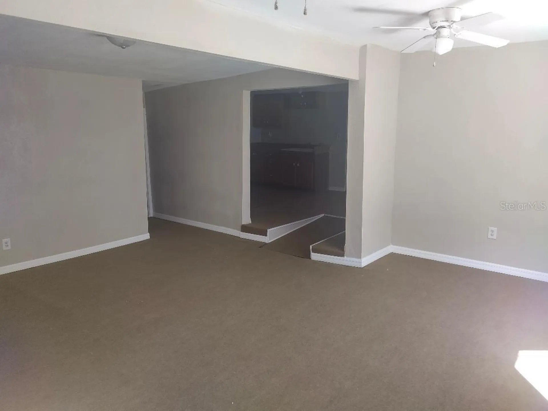 4700 SE 160th Court Ocklawaha FL 32179