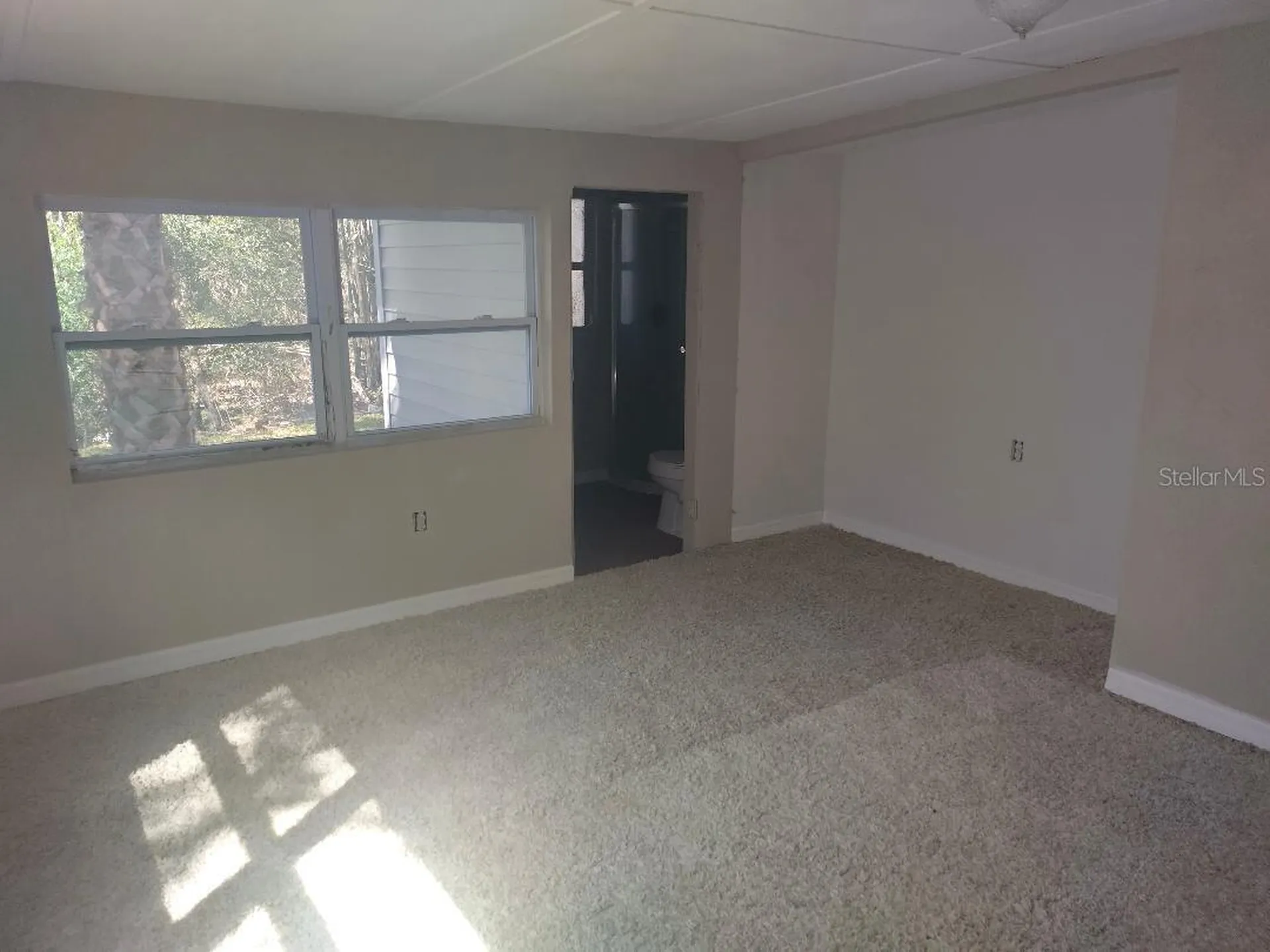 4700 SE 160th Court Ocklawaha FL 32179