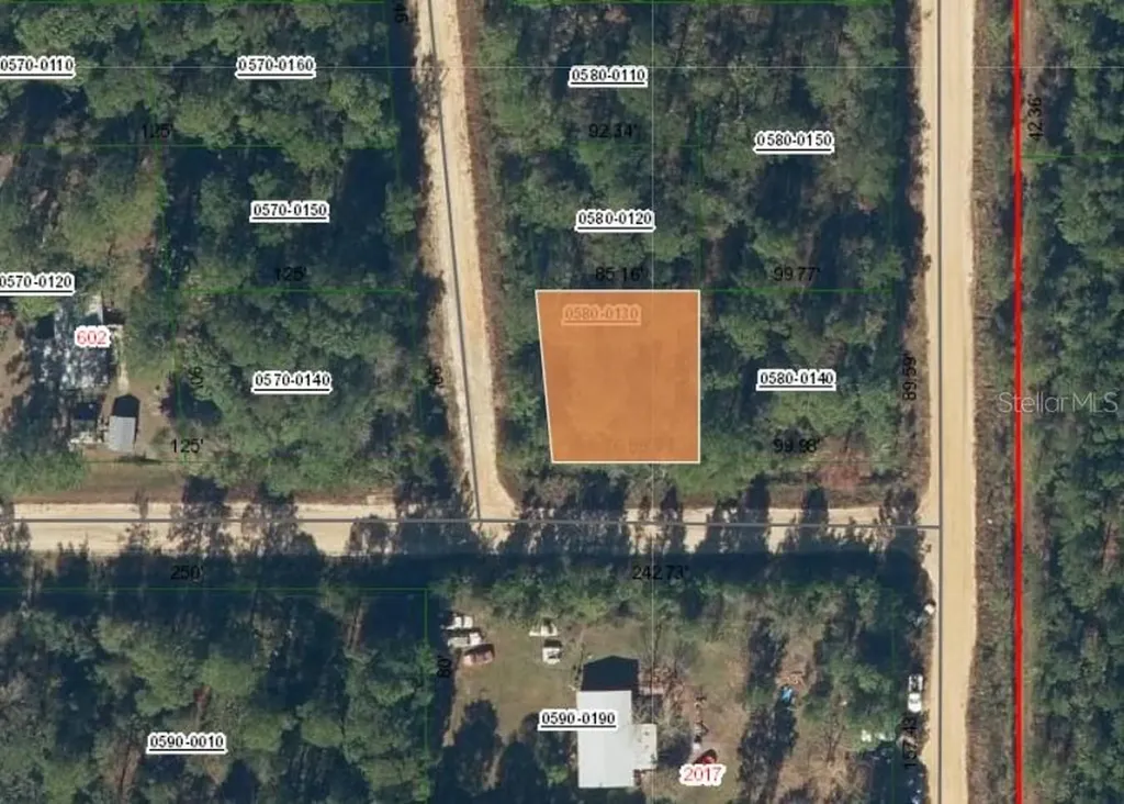 Lot 13 Selma Avenue Interlachen FL 32148