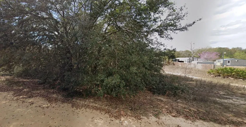 821 Kitty Avenue Interlachen FL 32148