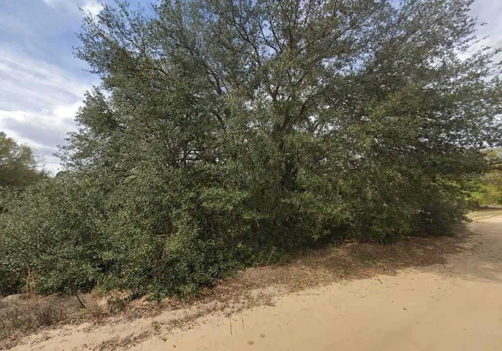 821 Kitty Avenue Interlachen FL 32148