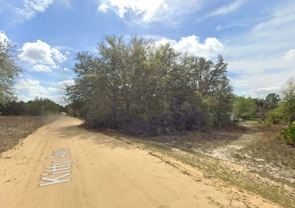 821 Kitty Avenue Interlachen FL 32148